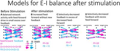 The flow of axonal information among hippocampal sub-regions 2: patterned stimulation sharpens routing of information transmission